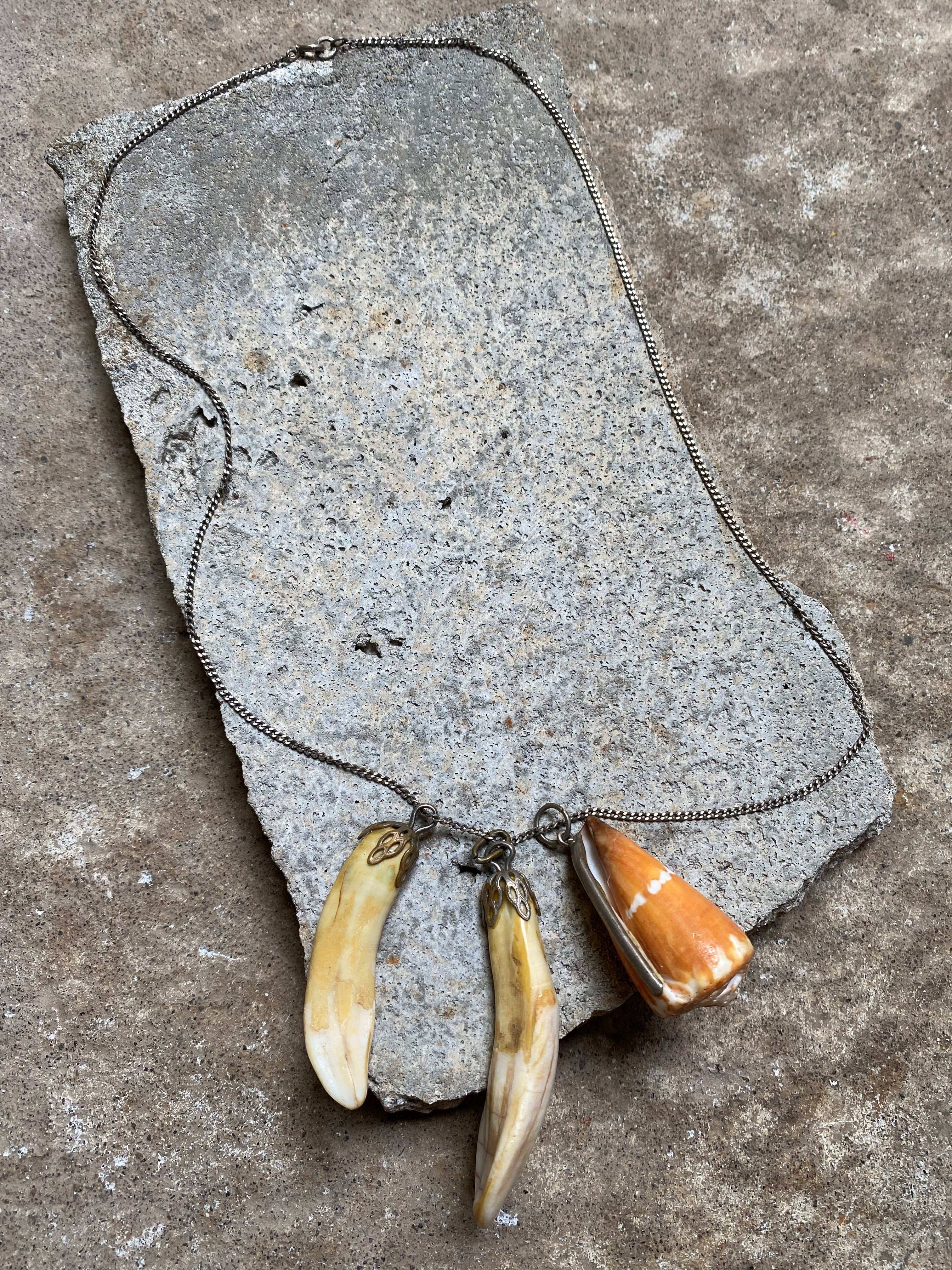 BEAR TOOTH AND SHELL CHAIN NECKLACE