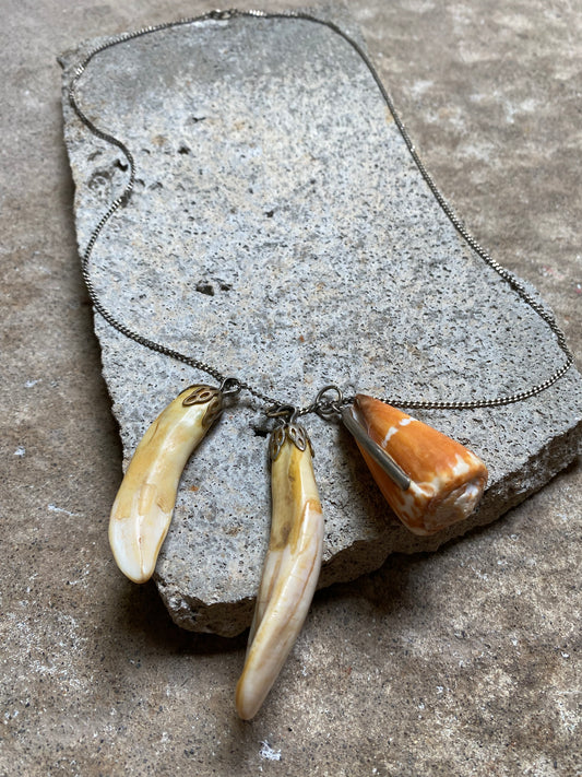 BEAR TOOTH AND SHELL CHAIN NECKLACE