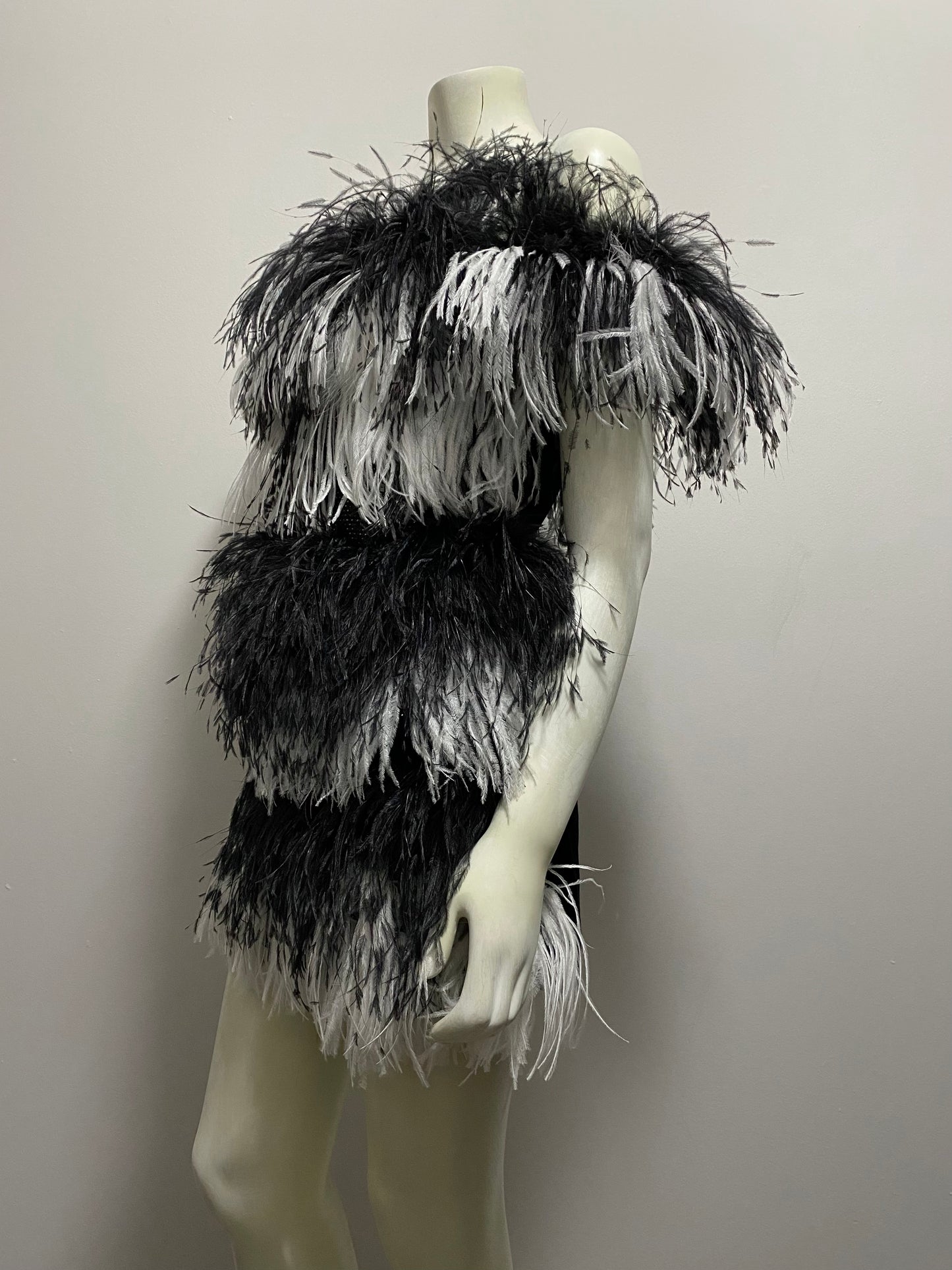 SAINT LAURENT OSTRICH DRESS